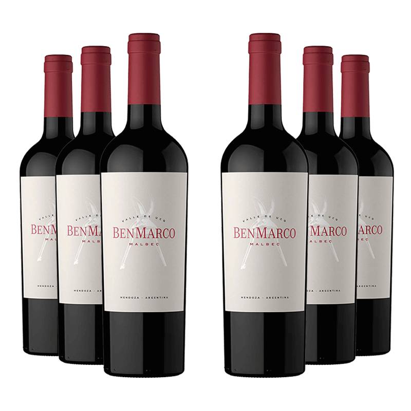 Susana Balbo : BenMarco Malbec 2021 von Susana Balbo