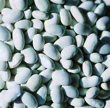 1/2 Pfund State Half Runner Green Bean Seeds neues Saatgut für 2017 Non-Gmo Heirloom 1/2 Pfund State Half Runner Green Bean Seeds neues Saatgut für 2017 Non-Gmo Heirloom von SwansGreen