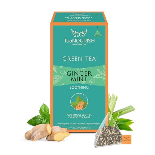 TeaNOURISH Ingwer-Minze-Grüntee | 20 Pyramiden-Teebeutel | Entspannend und beruhigend | Premium Darjeeling Ganzes Blatt | Immununterstützender Tee für tägliches Wohlbefinden von TEANOURISH