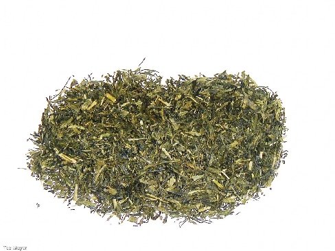 Japan Sencha Grüner Tee spritzig herb 1kg loser TEE Tee-Meyer von TEE MEYER