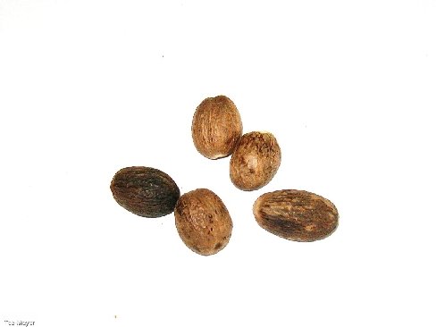 Muskatnuss ganz Muskat 1kg Tee-Meyer Muskatnuss ganz Muskat 1kg Tee-Meyer von TEE MEYER