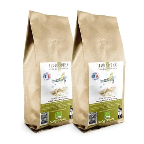 TERRAMOKA - Exzellenter Bio-Bohnenkaffee - 80% Reine Arabica (Mexiko,Brasilien) & 20% Robusta aus Tansania - Wohlschmeckend und anhaltend - 1Kg (2 * 500g) - 100% Recycelbar - Arthur - In Frankreich von TERRAMOKA