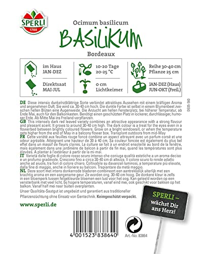 Basilikum, Bordeaux von TOM-GARTEN