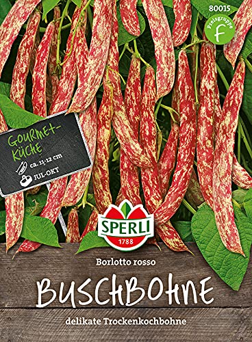 Buschbohnen, 'Borlotto rosso' Buschbohnen, 'Borlotto rosso' von TOM-GARTEN