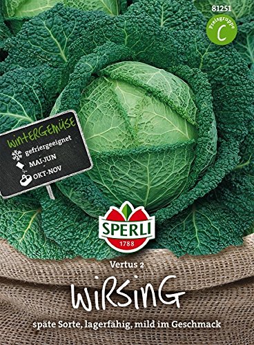 Wirsingkohl, Vertus 2 Wirsingkohl, Vertus 2 von TOM-GARTEN