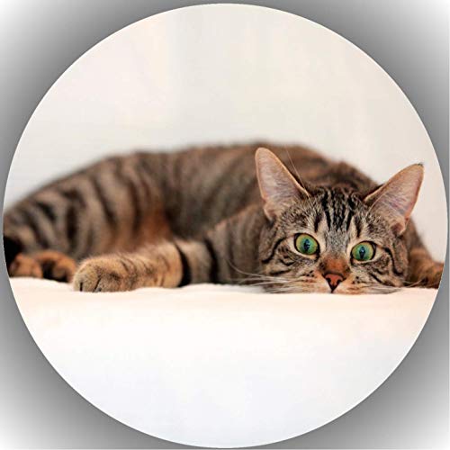 Premium Esspapier Tortenaufleger Geburtstag Katze / Katzen AMA 27 von Shanrya