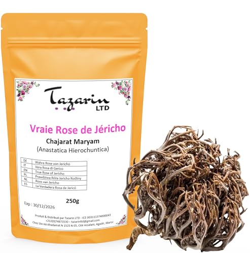 250g Rose von Jericho - Chajarat Mariam - Pflanze, die Fruchtbarkeit Fördert - Ungefähr 25 Stück - Anastatica Hierochuntica - 100% Natürlich, Rein und Ohne Zusatzstoffe | Premium-Qualität von Tazarin LTD