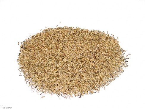 Cumin Kreuzkümmel ganz Gewürz 1kg Tee-Meyer von TEE MEYER