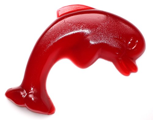 Delfin Fruchtgummi Rot Kirschgeschmack 1 kg von TEE MEYER