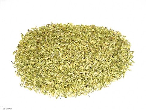 Fenchel Tee 1 kg Vorratspack offener loser Tee ganz Tee-Meyer von TEE MEYER