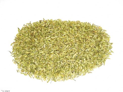 Fenchel Tee 1 kg Vorratspack offener loser Tee ganz Tee-Meyer von TEE MEYER