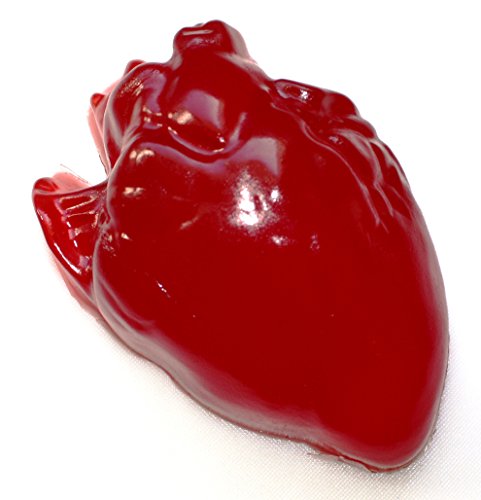 Herz Fruchtgummi Rot Kirschgeschmack 0.85 kg von TEE MEYER