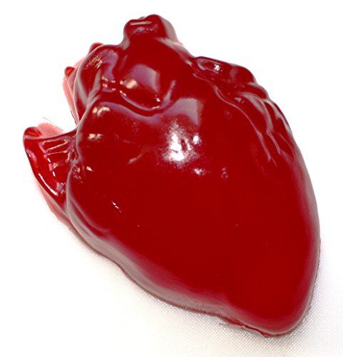 Herz Fruchtgummi Rot Kirschgeschmack 0.85 kg Herz Fruchtgummi Rot Kirschgeschmack 0.85 kg von TEE MEYER