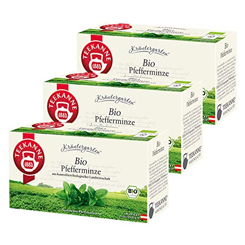 Teekanne Bio Pfefferminze / 3er Pack von Teekanne GmbH Gastro / GV Division