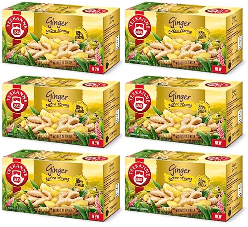 Teekanne Ingwer Tee (EXTRA STRONG), 6er Pack (6 x 20 Teebeutel), 6 x 35 g von Teekanne