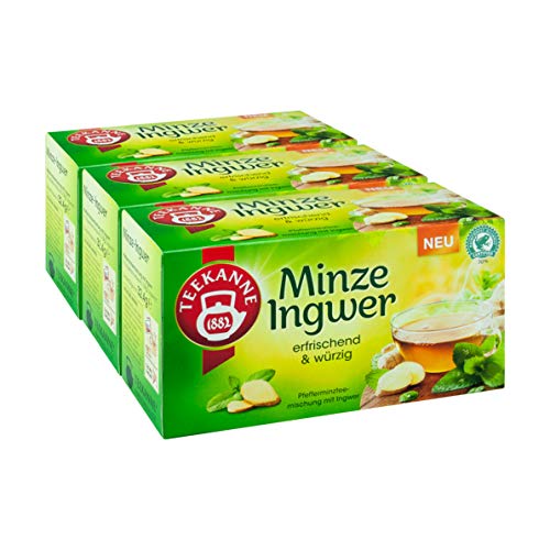 Teekanne Minze Ingwer, 3er Pack Teekanne Minze Ingwer, 3er Pack von Teekanne