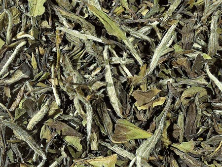 1 kg - BIO - Weißer Tee China k.b.A. Pai Mu Tan DE-ÖKO-006 von Teemando