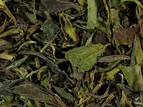 BIO Weißer Tee China k.b.A. Pai Mu Tan Mei Zang DE-ÖKO-006, 1 kg von Teemando