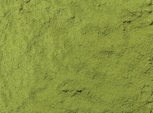 Grüner Tee Japan k.b.A. Matcha Ujicha DE-ÖKO-006 1 kg Grüner Tee Japan k.b.A. Matcha Ujicha DE-ÖKO-006 1 kg von Teemando