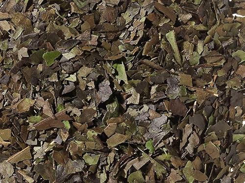 teemando® Guayusa k.b.A. DE-ÖKO-006, 1 kg koffeinhaltiges Nationalgetränk der Kichwa Ecuadors von Teemando