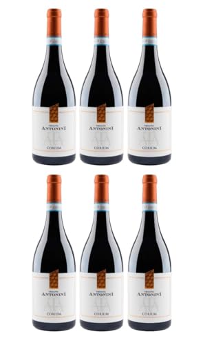 Antonini Montepulciano d'Abruzzo D.O.C. 2022 (6 x 0,75 l) von Tenuta Antonini