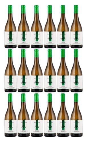 Antonini Passerina Abruzzo D.O.C. 2022 (18 x 0,75 l) von Tenuta Antonini