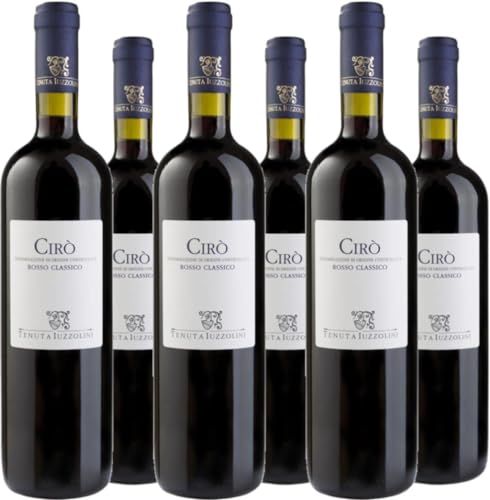 Tenuta Iuzzolini 6er Vorteilspaket Ciró Rosso Classico 2022 (6 x 0.75 l) von Tenuta Iuzzolini