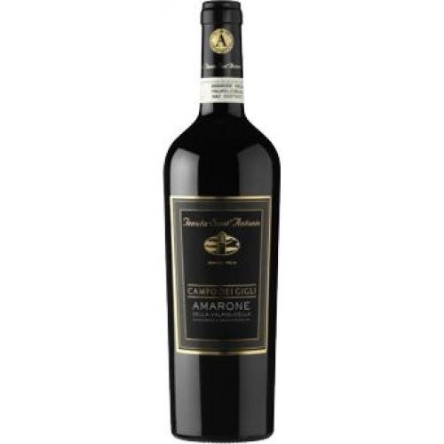 Tenuta Sant Antonio Campo dei Gigli Amarone della Valpolicella DOC 750 ml. von Tenuta Sant Antonio