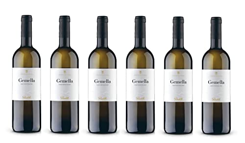 6x 0,75l - 2023er - Tenuta Vallocaia - Gemella - Sauvignon Blanc - Toscana I.G.P. - Italien - Weißwein trocken 6x 0,75l - 2023er - Tenuta Vallocaia - Gemella - Sauvignon Blanc - Toscana I.G.P. - Italien - Weißwein trocken von Tenuta Vallocaia