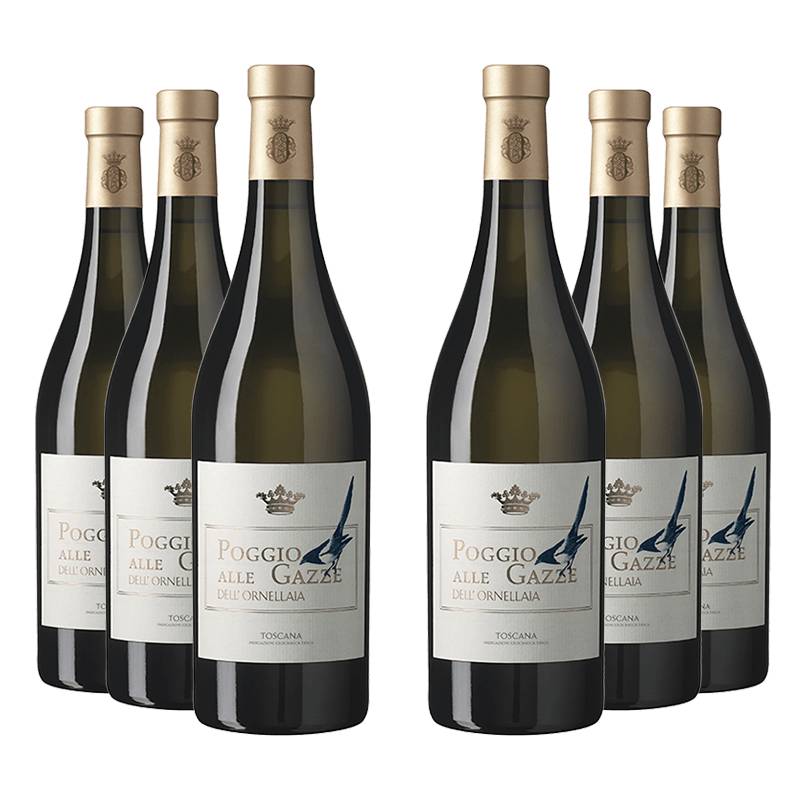 Tenuta dell'Ornellaia : Poggio Alle Gazze 2023 von Tenuta dell'Ornellaia