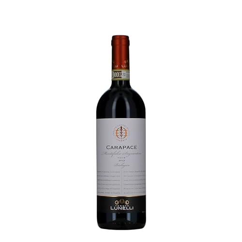 Montefalco Sagrantino DOCG Carapace Tenute Lunelli 2019 0,75 ℓ Montefalco Sagrantino DOCG Carapace Tenute Lunelli 2019 0,75 ℓ von Castelbuono