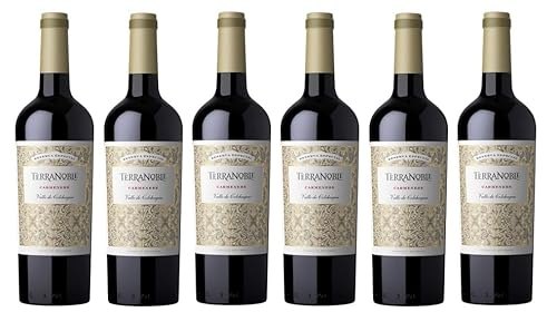 6x 0,75l - 2022er - Terra Noble Winery - Reserva Especial - Carménère - Valle de Colchagua W.O. - Chile - Rotwein trocken 6x 0,75l - 2022er - Terra Noble Winery - Reserva Especial - Carménère - Valle de Colchagua W.O. - Chile - Rotwein trocken von Terra Noble Winery