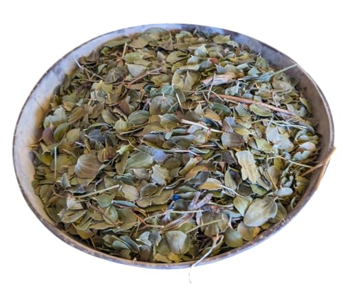 100 g / 0,22 lbs echte marokkanische Sidr-Blätter von Jujube-Baum getrocknetes Rohmaterial 100 g / 0,22 lbs echte marokkanische Sidr-Blätter von Jujube-Baum getrocknetes Rohmaterial von Terrapin Trading
