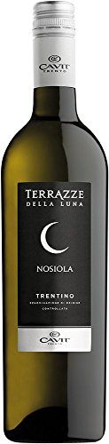 Terrazze della Luna Trentino Nosiola (Case of 6x75cl), Italien/Trentino, Weißwein von Terrazze Della Luna