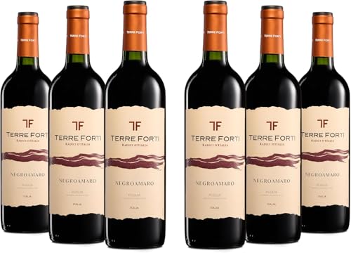 Terre Forti Negroamaro Puglia IGT, Italienischer Rotwein mit Rundem und Vollem Geschmack mit Noten Schwarzer Früchte, 12,5 % Vol., Karton mit 6 Flaschen mit jeweils 750 ml von Terre Forti