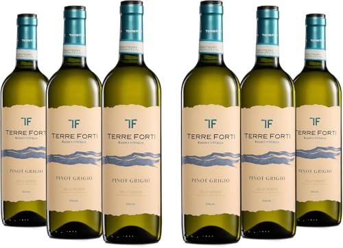 Terre Forti Pinot Grigio Delle Venezie DOC, Trockener Italienischer Weißwein mit Pfirsich- und Grapefruitnoten, 12 % Vol., Karton mit 6 Flaschen mit jeweils 750 ml Terre Forti Pinot Grigio Delle Venezie DOC, Trockener Italienischer Weißwein mit Pfirsich- und Grapefruitnoten, 12 % Vol., Karton mit 6 Flaschen mit jeweils 750 ml von Terre Forti