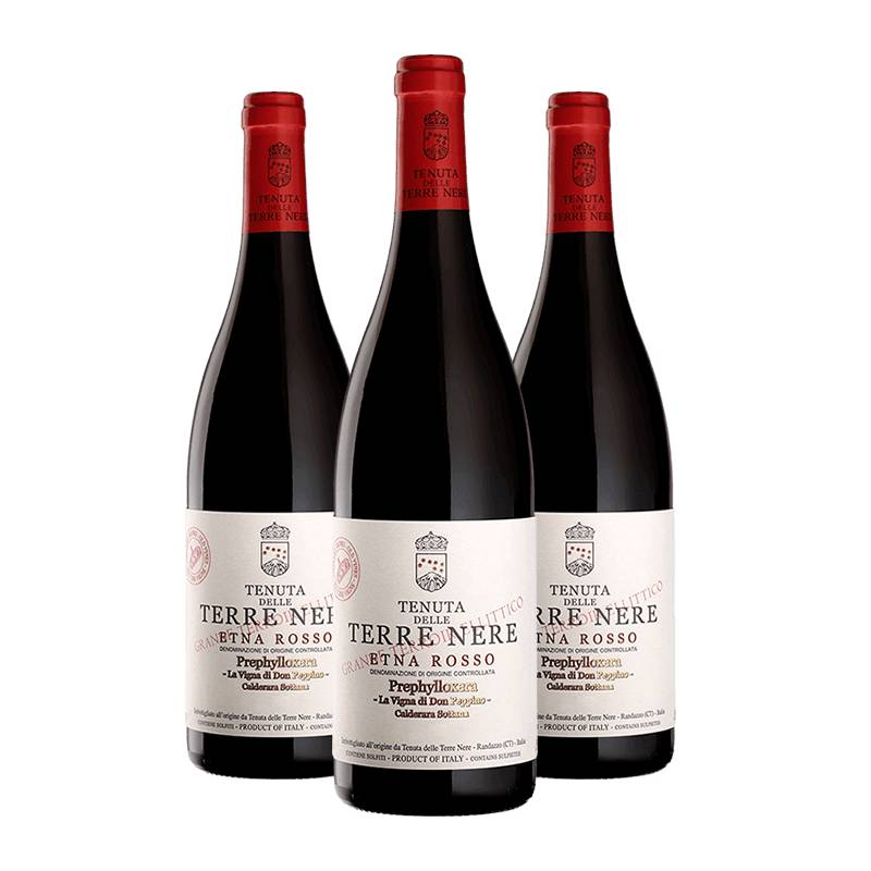 Terre Nere : Etna Rosso Prephylloxera Calderara Sottana 2023 von Terre Nere