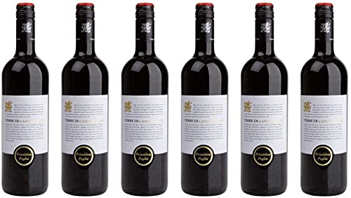 6 er Vorteilspaket Primitivo Puglia IGT 2021 | Terre di Campo Sasso | 6 x 0,75 L | Rotwein aus Apulien | trocken 6 er Vorteilspaket Primitivo Puglia IGT 2021 | Terre di Campo Sasso | 6 x 0,75 L | Rotwein aus Apulien | trocken von Terre di Campo Sasso