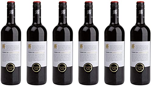 6 er Vorteilspaket Primitivo Puglia IGT 2021 | Terre di Campo Sasso | 6 x 0,75 L | Rotwein aus Apulien | trocken von Terre di Campo Sasso