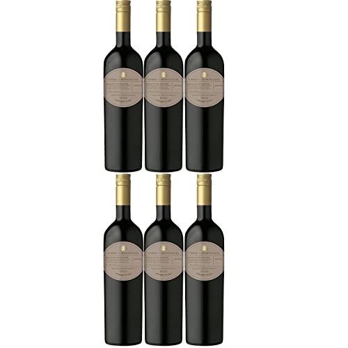 Terre di Montelusa Primitivo Puglia Rotwein veganer Wein trocken IGT Italien (6 Flaschen) von Terre di Montelusa