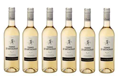 6x 0,75l - 2023er - Terres de d'Artagnan - Blanc - Côtes de Gascogne I.G.P. - Frankreich - Weißwein trocken 6x 0,75l - 2023er - Terres de d'Artagnan - Blanc - Côtes de Gascogne I.G.P. - Frankreich - Weißwein trocken von Terres de d'Artagnan