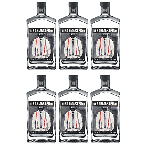 The Barmaster Gin I Versanel Paket (6 x 0,7l) von The Barmaster