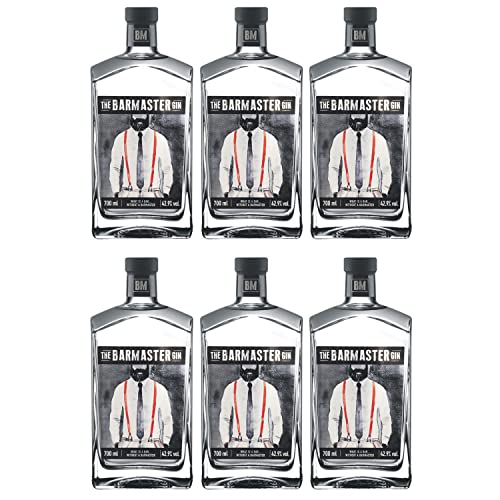 The Barmaster Gin I Versanel Paket (6 x 0,7l) von The Barmaster
