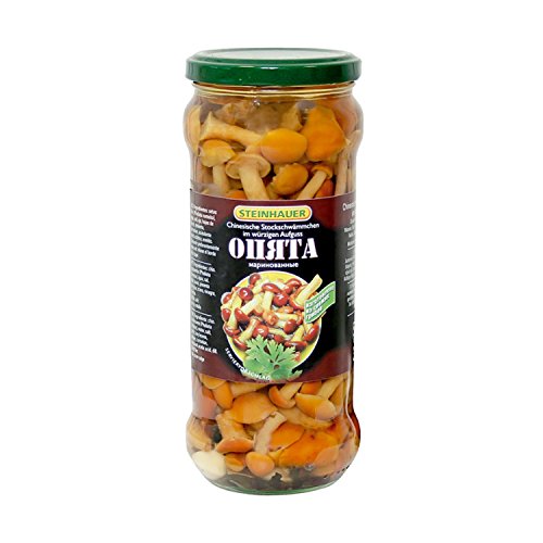 Chinesisches Stockschwämmchen "Opjata" von The Great Canadian Tea
