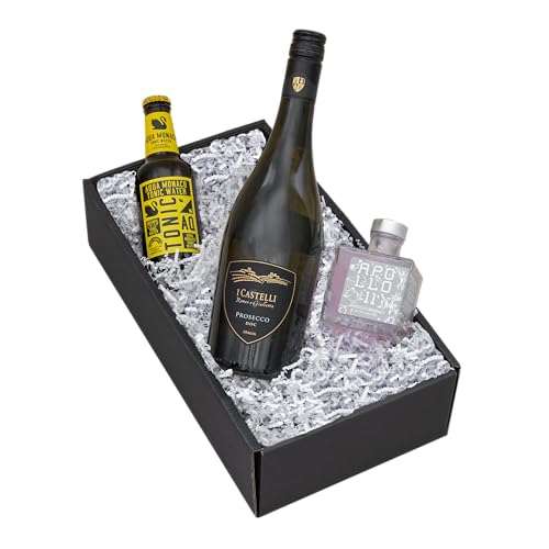 The Wine Guys Geschenktset Aperitivo Italiano: I Castelli Prosecco Frizzante & Apollo 11 Aperitif Set von The Wine Guys