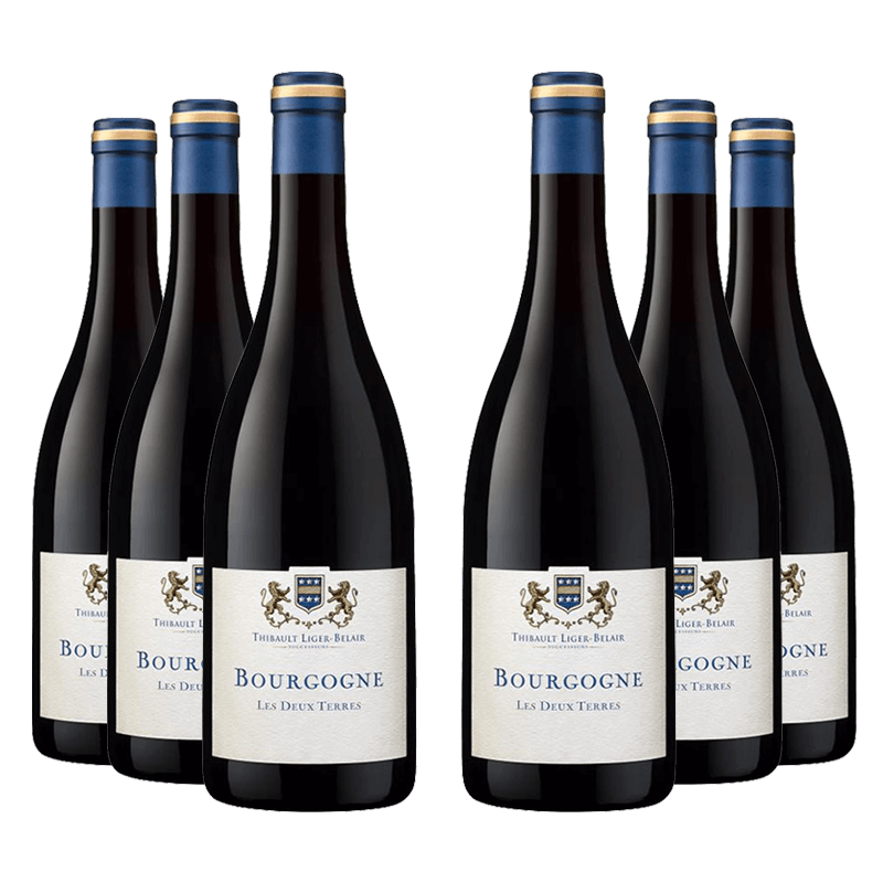 Thibault Liger-Belair : Bourgogne Gamay "Les 2 Terres" 2021 Thibault Liger-Belair : Bourgogne Gamay "Les 2 Terres" 2021 von Thibault Liger-Belair