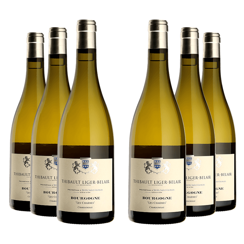 Thibault Liger-Belair : Bourgogne "Les Charmes" 2021 Thibault Liger-Belair : Bourgogne "Les Charmes" 2021 von Thibault Liger-Belair