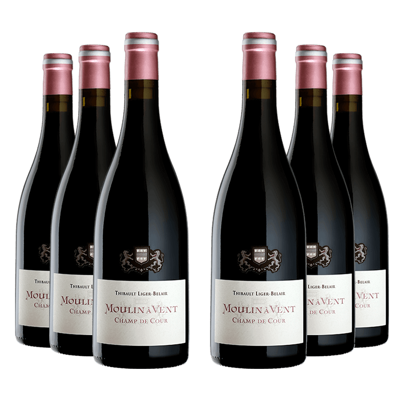 Thibault Liger-Belair : Champ de Cour 2021 Thibault Liger-Belair : Champ de Cour 2021 von Thibault Liger-Belair