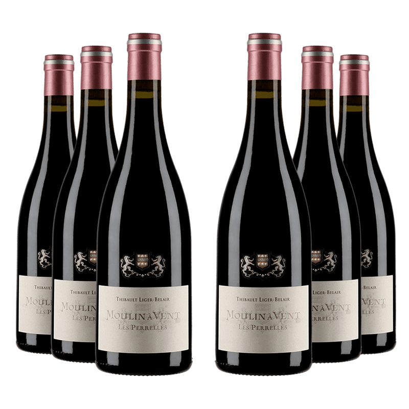 Thibault Liger-Belair : Les Perrelles 2020 Thibault Liger-Belair : Les Perrelles 2020 von Thibault Liger-Belair
