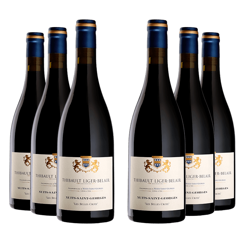 Thibault Liger-Belair : Nuits-Saint-Georges Village "Les Belles Croix" 2021 Thibault Liger-Belair : Nuits-Saint-Georges Village "Les Belles Croix" 2021 von Thibault Liger-Belair